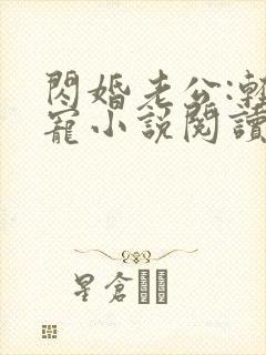 闪婚老公:轻点宠小说阅读全部