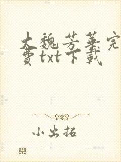 大魏芳华完整免费txt下载