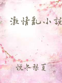激情乱小说视频