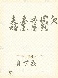 夫妻共同欠款离婚怎么判