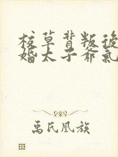 校草背叛后我闪婚太子爷气疯他苏念笙结局