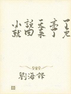 小说天亮了,你就回来了免费阅读