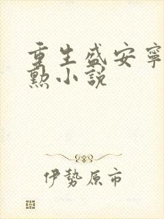 重生盛安宁周时勋小说
