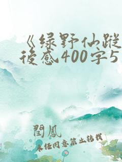 《绿野仙踪》读后感400字5篇