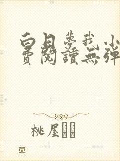 白日梦我小说免费阅读无弹窗