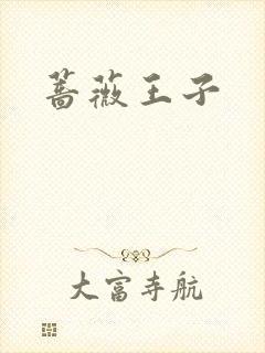 蔷薇王子