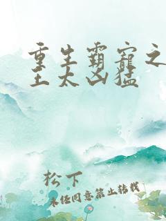 重生霸宠之摄政王太凶猛