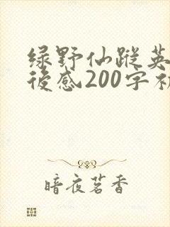 绿野仙踪英语读后感200字初一