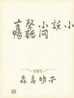 有声小说小苮儿畅听网