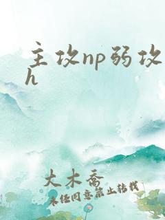 主攻np弱攻高h