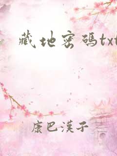 藏地密码txt