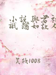 小说 与君初相识 犹如故人归