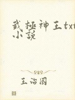 武极神王txt小说