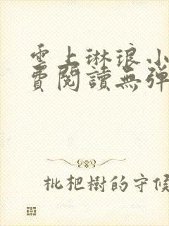 云上琳琅小说免费阅读无弹窗