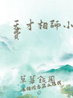 天才相师小说免费