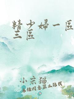 精少妇一区二区三区