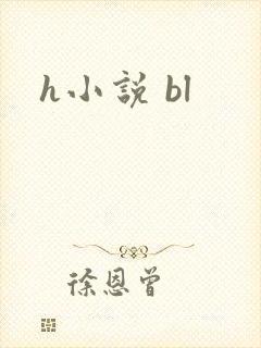 h小说 bl