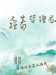人生哲理感悟的短句