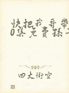 快把我哥带走30集免费孙千