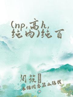 (np,高h,纯肉)纯百