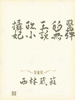 摄政王的医品狂妃小说无弹窗