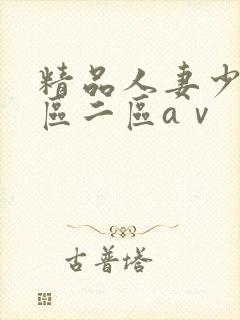 精品人妻少妇一区二区aⅴ