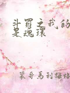 斗罗之我的武魂是魂环
