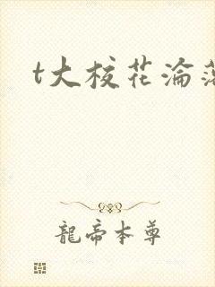 t大校花沦落记