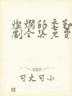 灿烂的季节电视剧全集免费