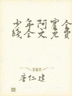 少年阿宾全集在线全文免费阅读