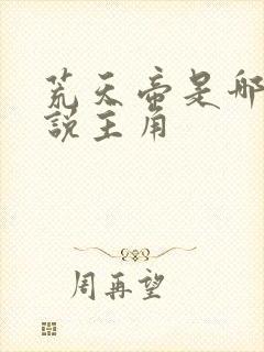 荒天帝是哪部小说主角