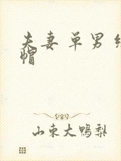 夫妻 单男 绿帽
