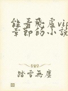 能看飞卢vip章节的小说网站