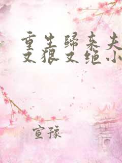 重生归来夫人她又狠又绝小说
