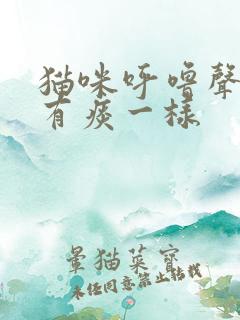 猫咪呼噜声音像有痰一样