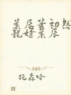 叶辰萧初然上门龙婿叶辰
