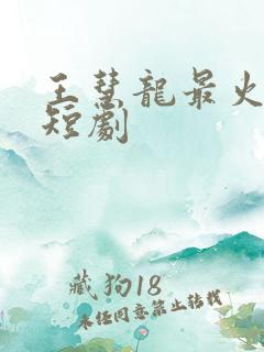 王慧龙最火十部短剧
