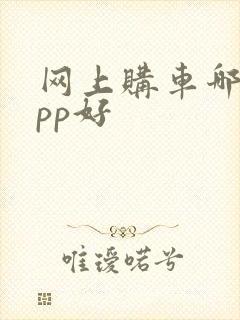 网上购车哪个app好