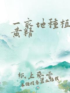 一亩地种植多少黄精