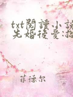 txt阅读小说先婚后爱:总裁老公狂宠妻