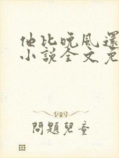 他比晚风还温柔小说全文免费阅读