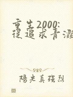 重生2000:从追求青涩校花同桌开始原著