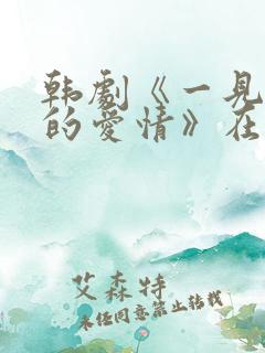韩剧《一见钟情的爱情》在线观看