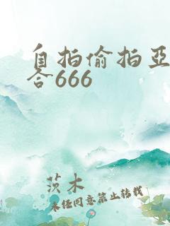 自拍偷拍亚洲综合666
