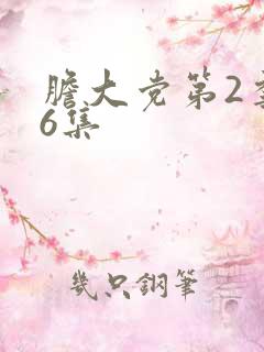 胆大党第2季第6集