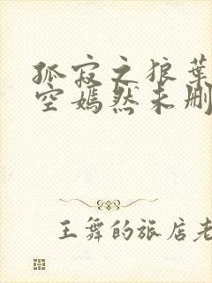 孤寂之狼叶凡司空嫣然未删减txt下载