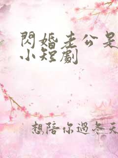 闪婚老公是豪门小短剧