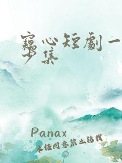 窃心短剧一共多少集