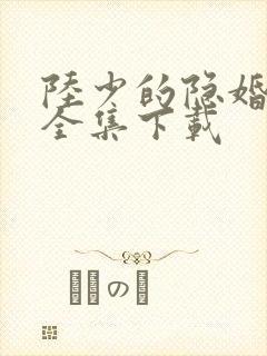 陆少的隐婚罪妻全集下载