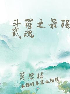 斗罗之最强治疗武魂 斗罗之最强治疗武魂